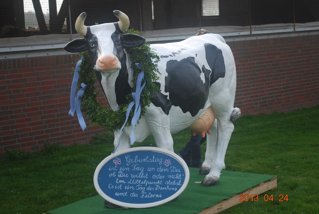 lebensgroße Niedersachsen Kuh